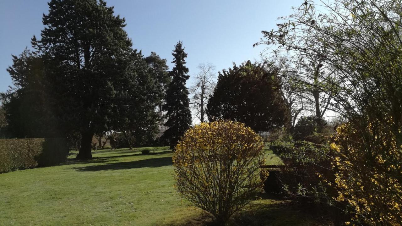 La Haute Traversiere Francueil Esterno foto