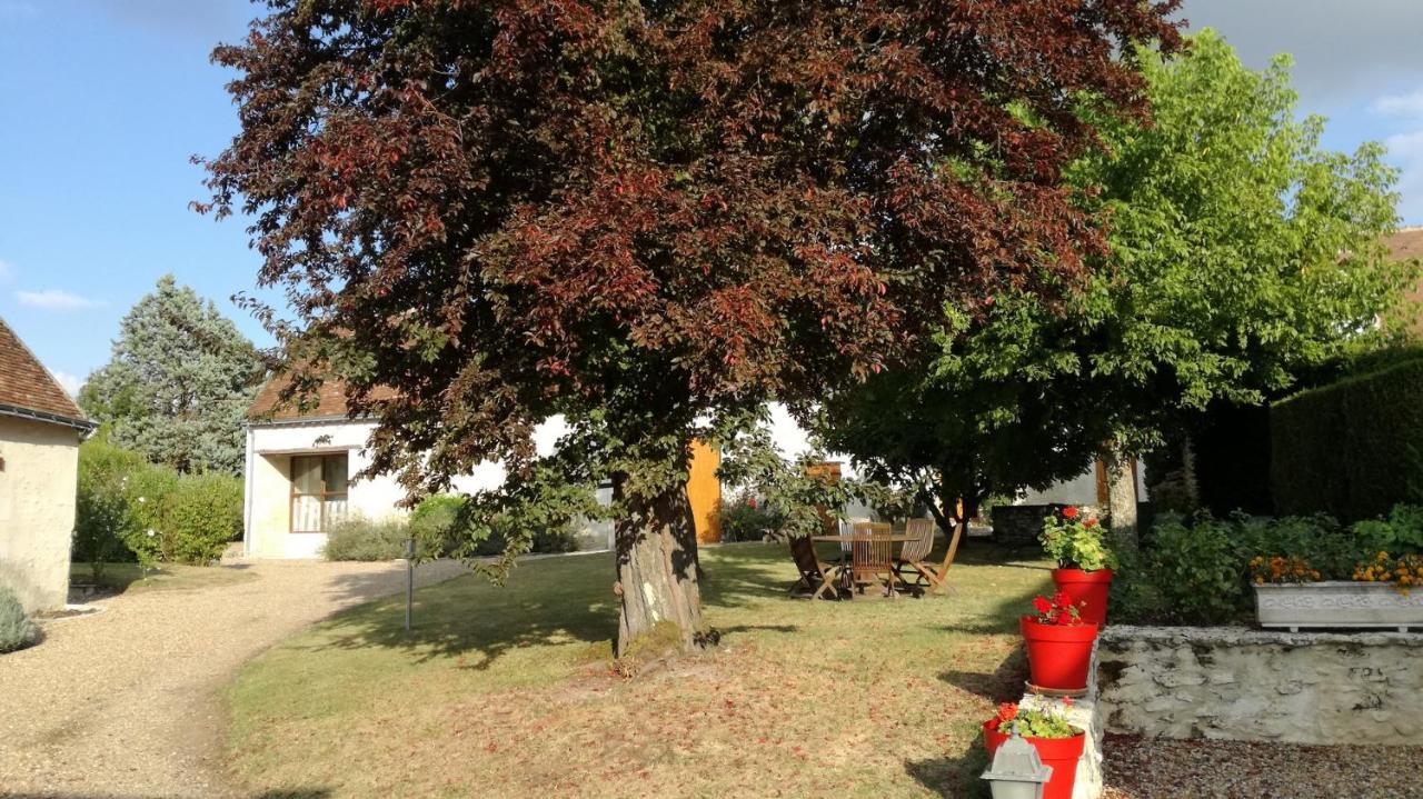 La Haute Traversiere Francueil Esterno foto