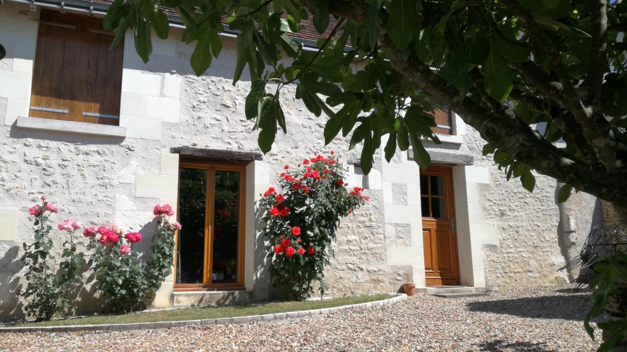 La Haute Traversiere Francueil Esterno foto