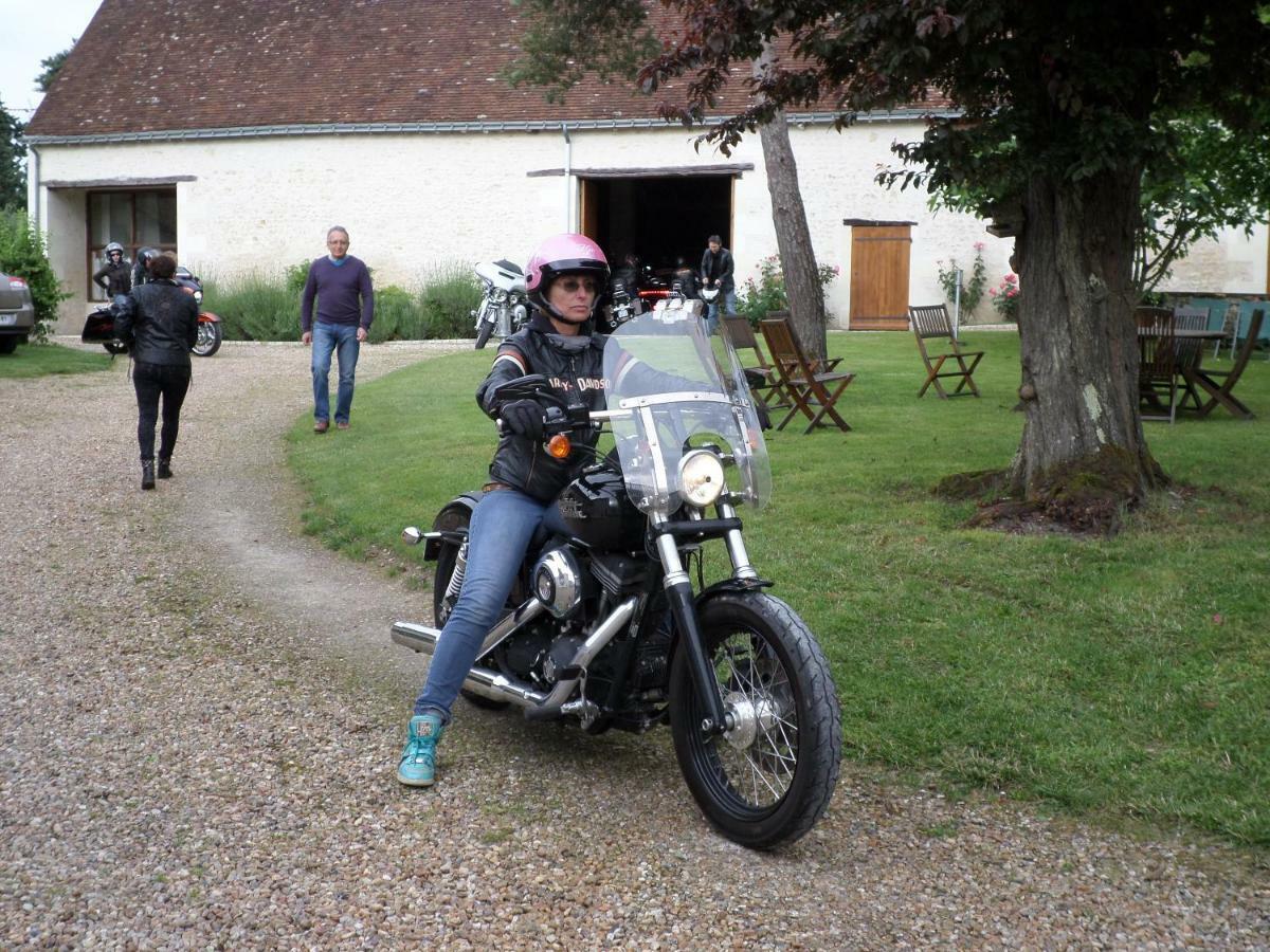 La Haute Traversiere Francueil Esterno foto